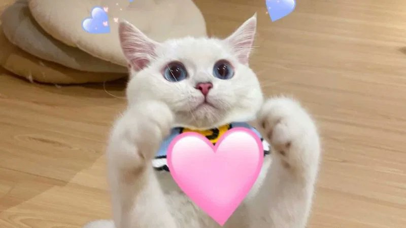 ViBibix's tweet photo. Thích một người cũng vui. https://t.co/Yu1DLAJ1tb