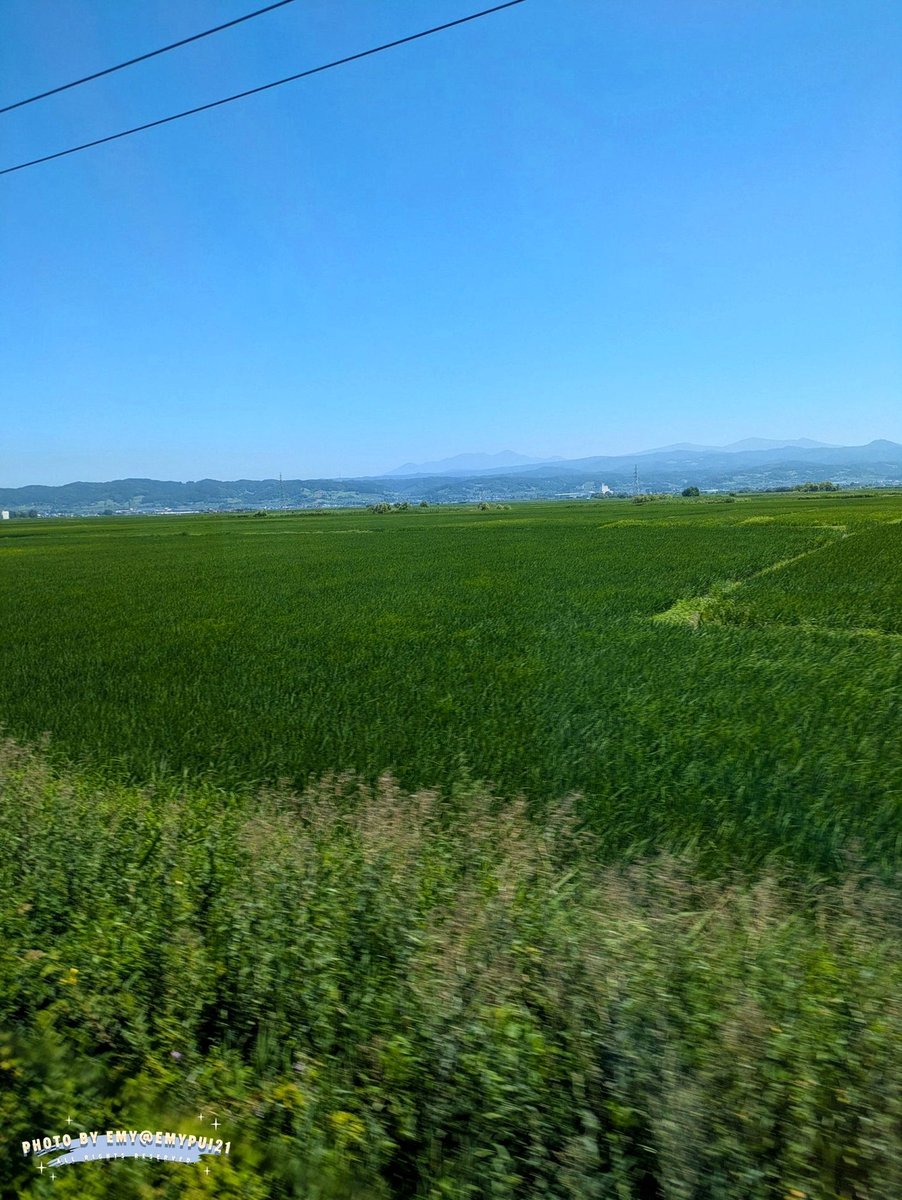 elethemad's tweet photo. ママがある日消えたように元彼が昨日まで仲良しだったのに起きたら消えていたように私は常に過去に引っ張られてて今を生きてない https://t.co/jhRpAz8Ck2