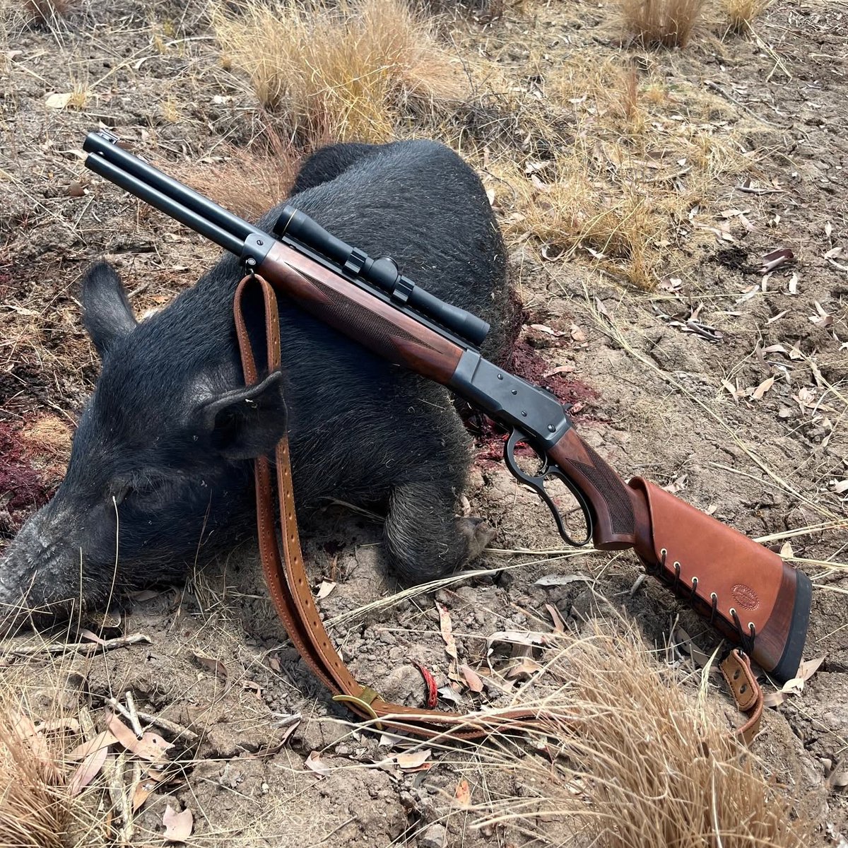 BigHornArmory's tweet photo. ๐ฐ Why does big-bore win on hogs?
The Texarkana Gazette's outdoors column answered that this week โ and cited our recent blog to do it.
๐๏ธ: https://t.co/MDAXfC4wBC
#BigHornArmory #BigBore #HogHunting #500SW #Hunting https://t.co/UoDlT6mGRa