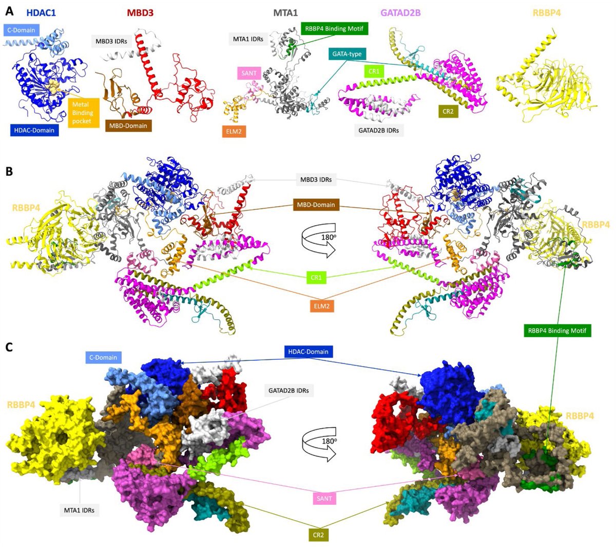 molcellprot's tweet photo. In MCP press| Multicomplex Integrative Structural Modeling of a Human Histone Deacetylase Interactome.
Learn more:
https://t.co/H1K1qyLhup
#MolCellProt https://t.co/i1PHDAVWnE