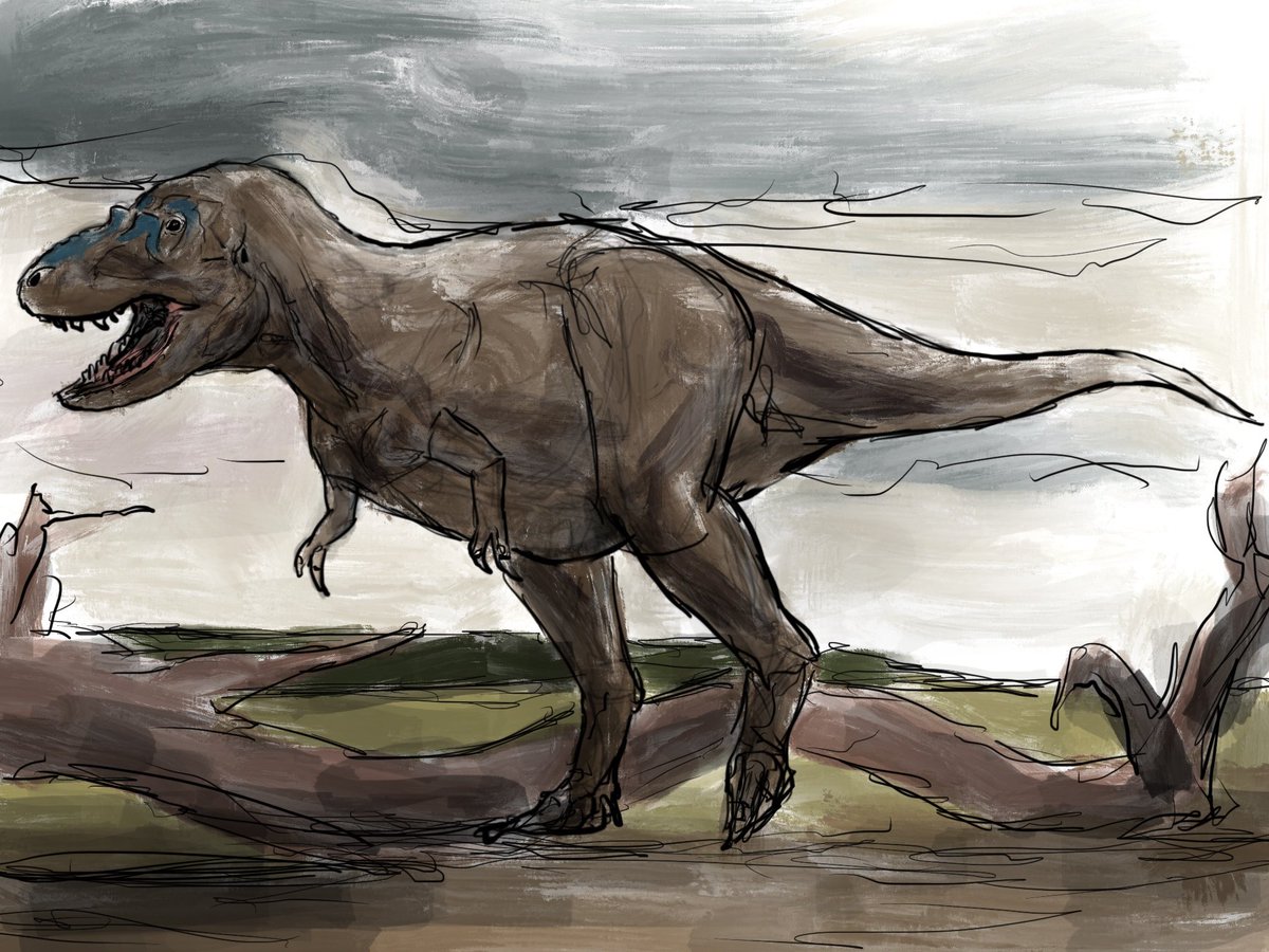 rlatkdwls's tweet photo. Tromerosaurus solumons https://t.co/GsIadVLCK8