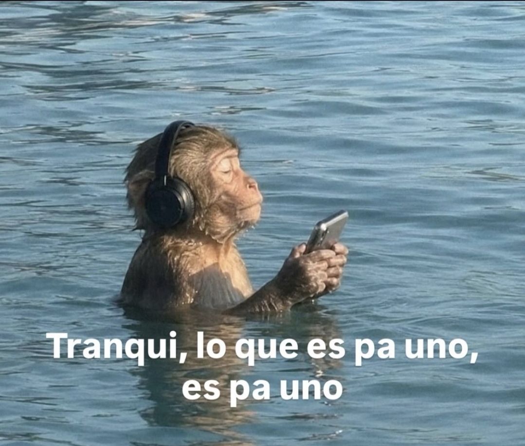 wikipistacho's tweet photo. https://t.co/5pwEIJKNyr