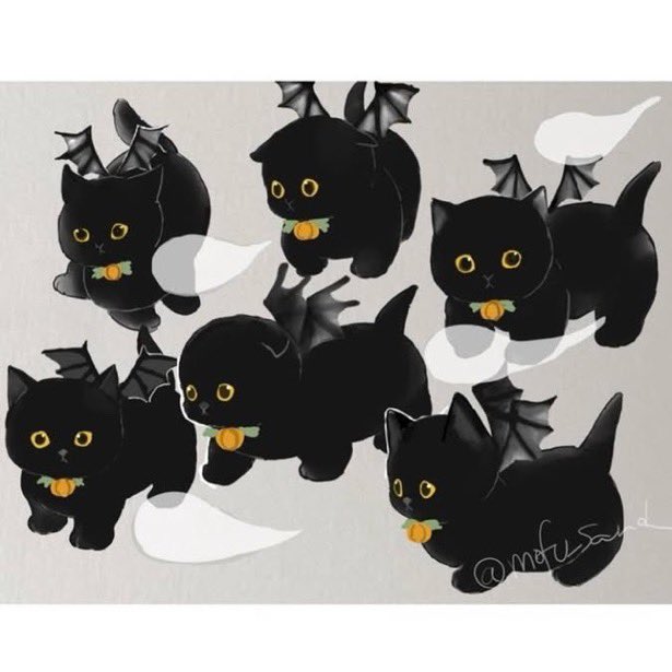 mofu_sand's tweet photo. 今年も🐈‍⬛がやってきた！ https://t.co/6JNBE30Sfl