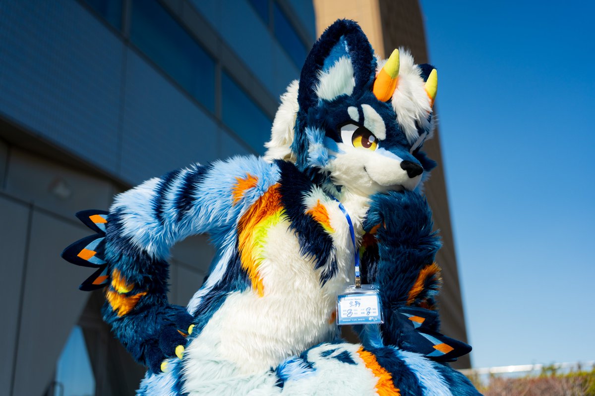 TKW_22's tweet photo. #FursuitFriday https://t.co/PdoXVJEw5f