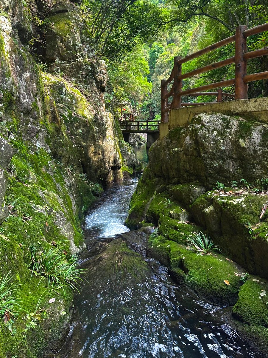 gly_abe1489's tweet photo. Exploring the vanadium-rich site of Dangpa Waterfall at dawn! https://t.co/otjlit6D5Z