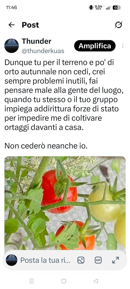 thunderkuas's tweet photo. Aska El Gabrio ... link ... cioè non è che è...

Conte intenzione la stessa, si occupa edifici, ville, appartamenti, case rurali con deposito richiesta usucapione e obbligo di miglioria.

Ovviamente igene pavimenti ambiente e basso rumore "aziendale" https://t.co/dLJVULRDpw