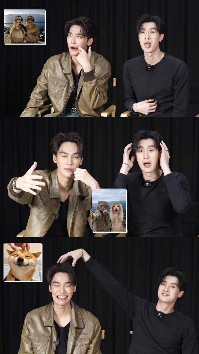 231003_dohyun's tweet photo. สิ่งนี้น่ารักจังวะ มีอีกมั้ย;-; https://t.co/ijMsJjq5Te