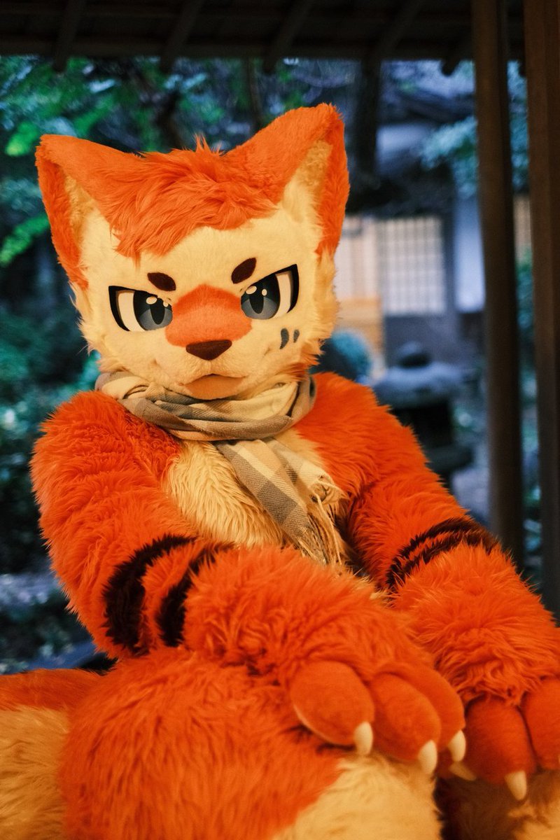 InariLuno's tweet photo. 寒いね、あたためてあげようか？
#Fursuitfriday https://t.co/6KcTN4X07f
