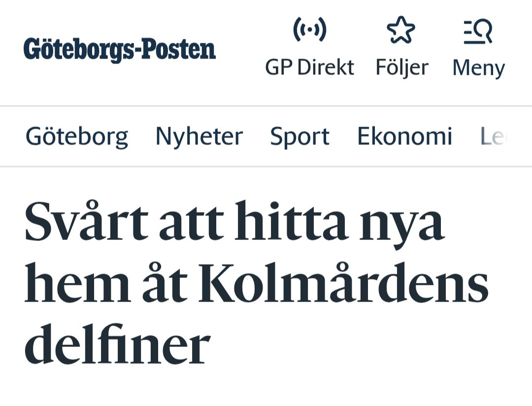 ifablernas's tweet photo. Ser en potentiell uppföljare till avsnittet när @Edward_Blom åt upp Gynnings påfågel 🦚 https://t.co/07CfimqBww