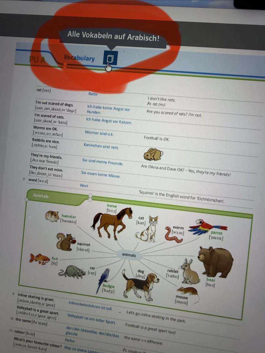 BewareMacduff's tweet photo. Ich unterrichte seit 10 Jahren in der Unterstufe in Englisch. 

Neuerdings im digitalen Unterrichtsassistenten: „Alle Vokabeln auf Arabisch“ (5. Klasse Gymnasium Bayern)

Normalerweise sollte man ohne Deutschkenntnisse den Übertritt erst gar nicht schaffen. https://t.co/o1i4o0neZC