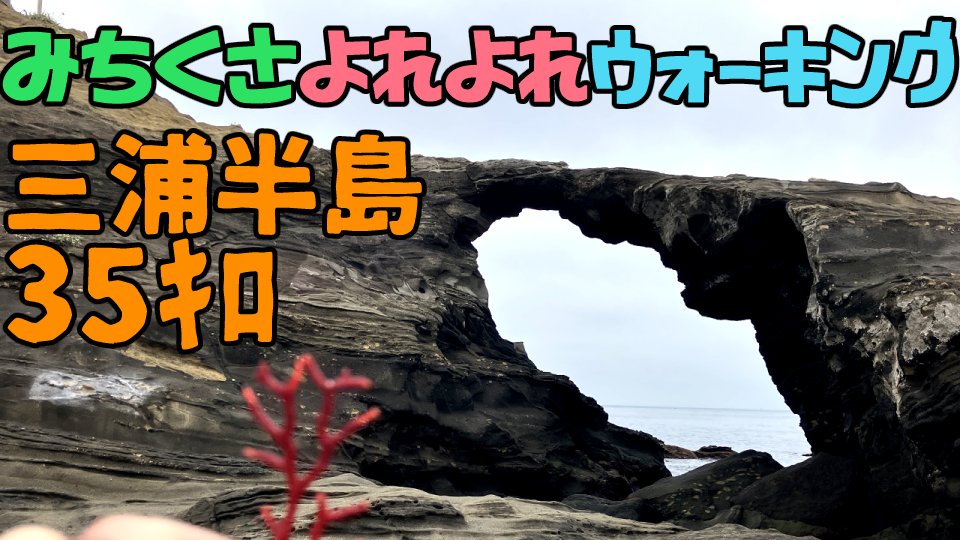MelMaMax's tweet photo. 22時45分に予約してみました😄
三浦半島ウォーキングの上映会します～
よろしくお願いしマックス🐶
三浦半島35キロ◆みちくさよれよれウォーキング Youtube：https://t.co/nScPf5oQg4 
ニコ生：https://t.co/UynOm4XDtm https://t.co/ksBArqmfbY