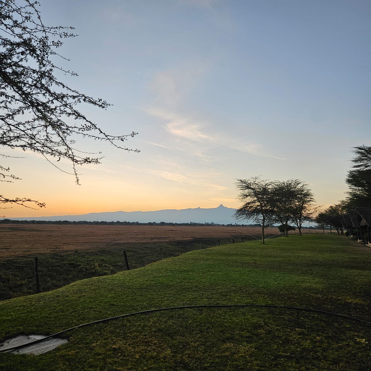 IsraelinKenya's tweet photo. Shabbat Shalom from the heart of Kenya! 🇮🇱🇰🇪🌿

As the week comes to a close, there’s something special about slowing down, taking in the beauty around us, and appreciating the moments that matter most. ✨

Deputy Ambassador, Ariel Arviv and her family enjoying a beautiful escape at Ol Pejeta — surrounded by Kenya’s breathtaking landscapes and incredible wildlife. 🦒🦓🌄

Wishing you and your loved ones a peaceful, restful and beautiful Shabbat.

Shabbat Shalom! 🕯️🕯️💙

#ShabbatShalom #Kenya #OlPejeta #KenyaIsrael #WeekendInKenya