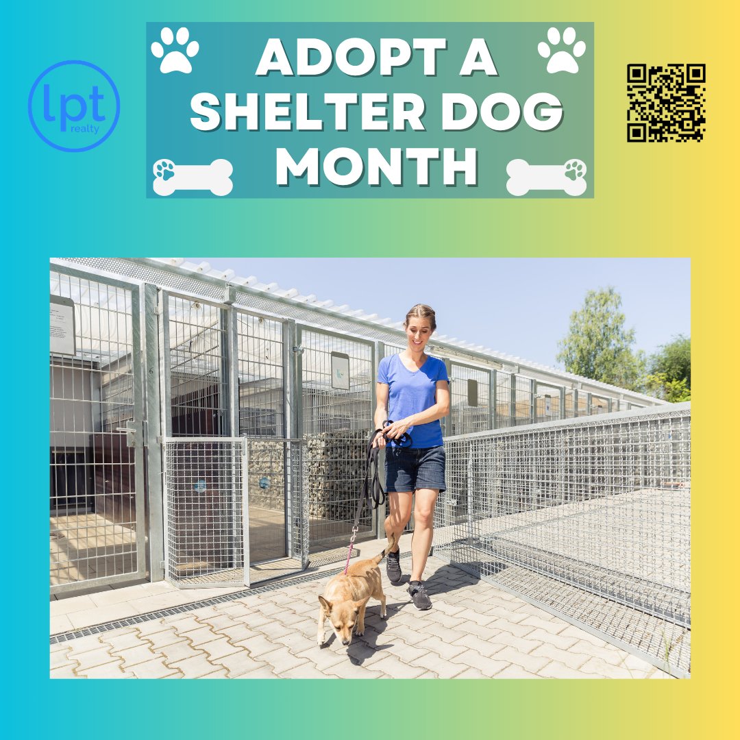 mcculloch_helen's tweet photo. Give A Shelter Dog A Furrever Home! ๐พWe Can Help Find The Perfect Furry Home
๐Call 561-508-0914 or๐scan the QR Code for your real estate needs!
#AdoptADog #Dog #Realtor #RealtorFL #RealEstateFL #FloridaRealtor https://t.co/S1hLdtfWyw