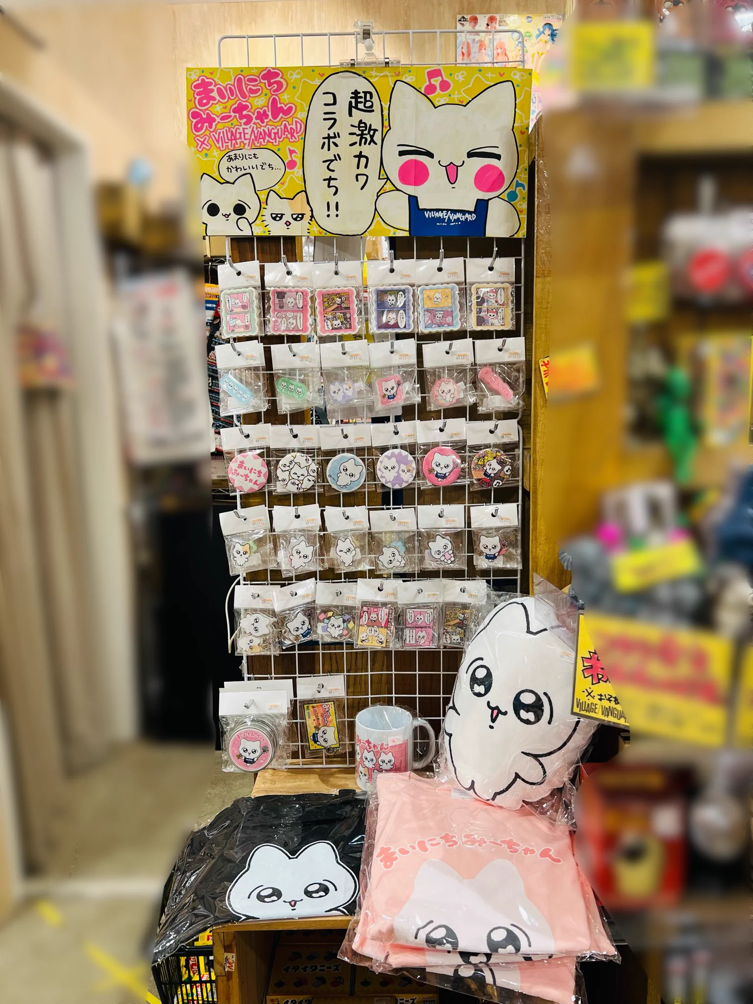 まいにちみーちゃん (@everydaymeechan) / X