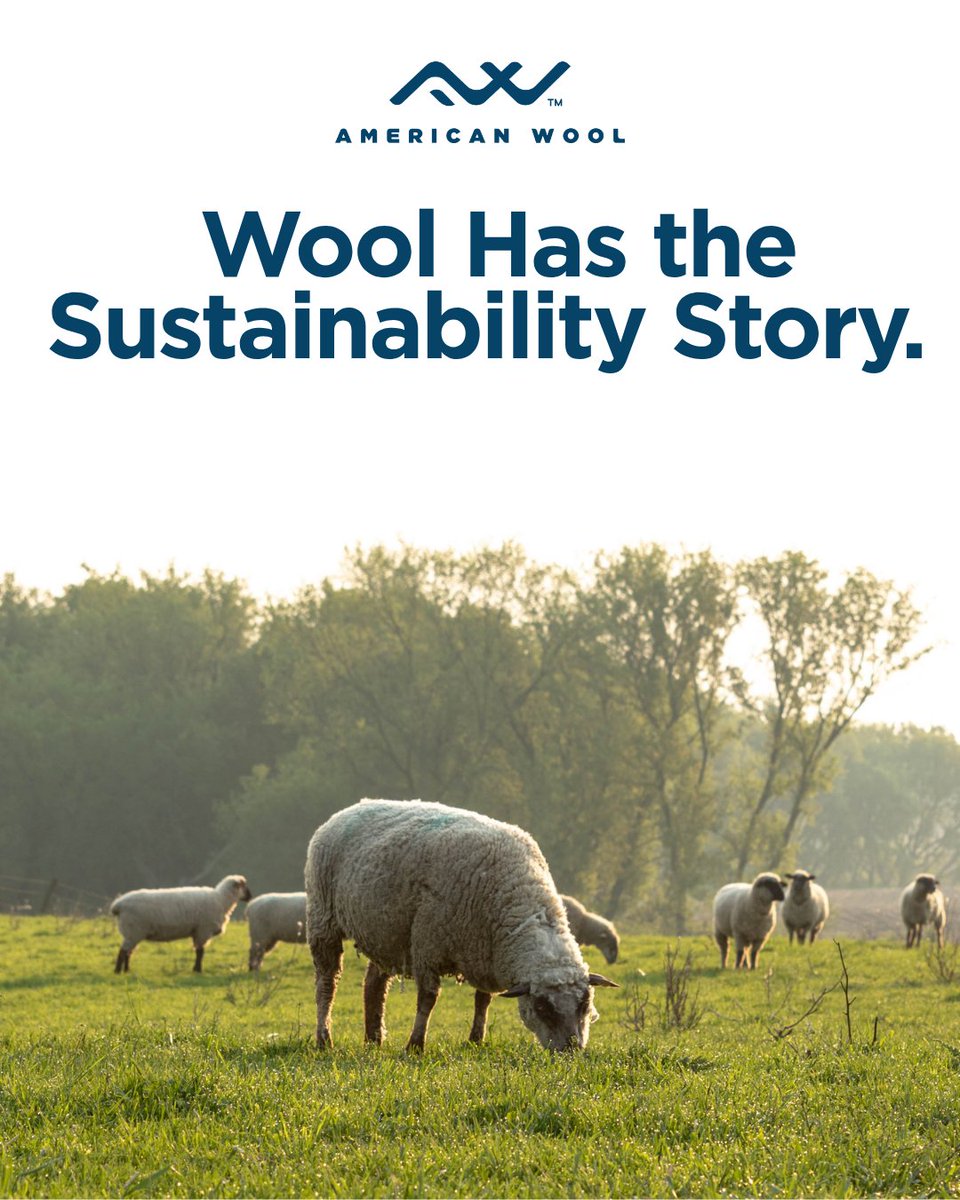 ExperienceWool's tweet photo. People are asking better questions: What is this made of? Where did it come from? What happens when I’m done with it?

When you understand wool’s story, you’re better equipped to choose it. Explore the Sustainability Hub today. 

🔗 https://t.co/9xoNeUDw8D

#experiencewool https://t.co/7STrG6utaw