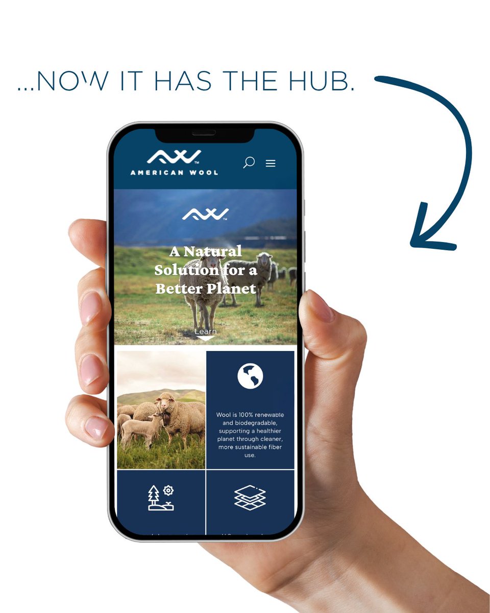 ExperienceWool's tweet photo. People are asking better questions: What is this made of? Where did it come from? What happens when I’m done with it?

When you understand wool’s story, you’re better equipped to choose it. Explore the Sustainability Hub today. 

🔗 https://t.co/9xoNeUDw8D

#experiencewool https://t.co/7STrG6utaw