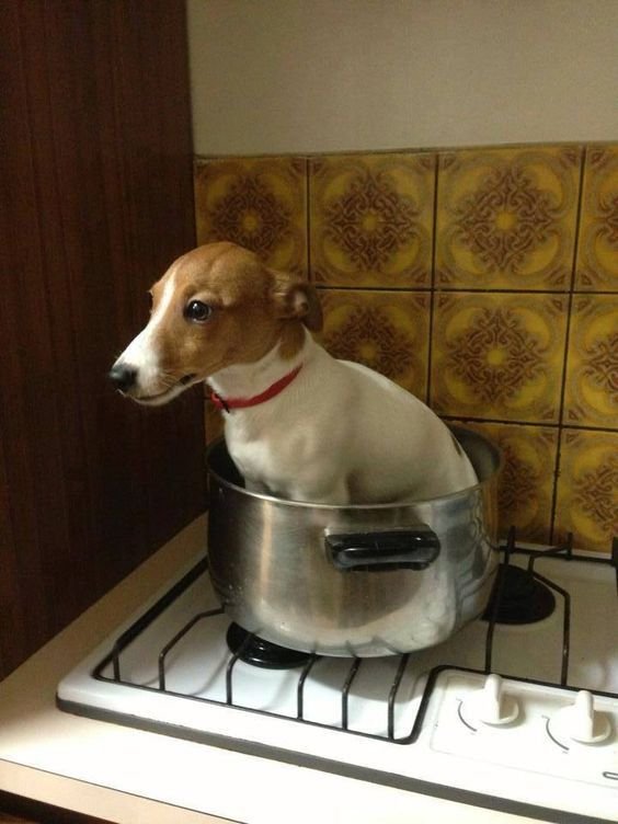 BFuffola's tweet photo. @LafaelReao @Raffooh_ @NicklasBahre @Vicidominus @bictor_voniface @Diiiismoo16 Sta cucinando https://t.co/KMxUnGunT8