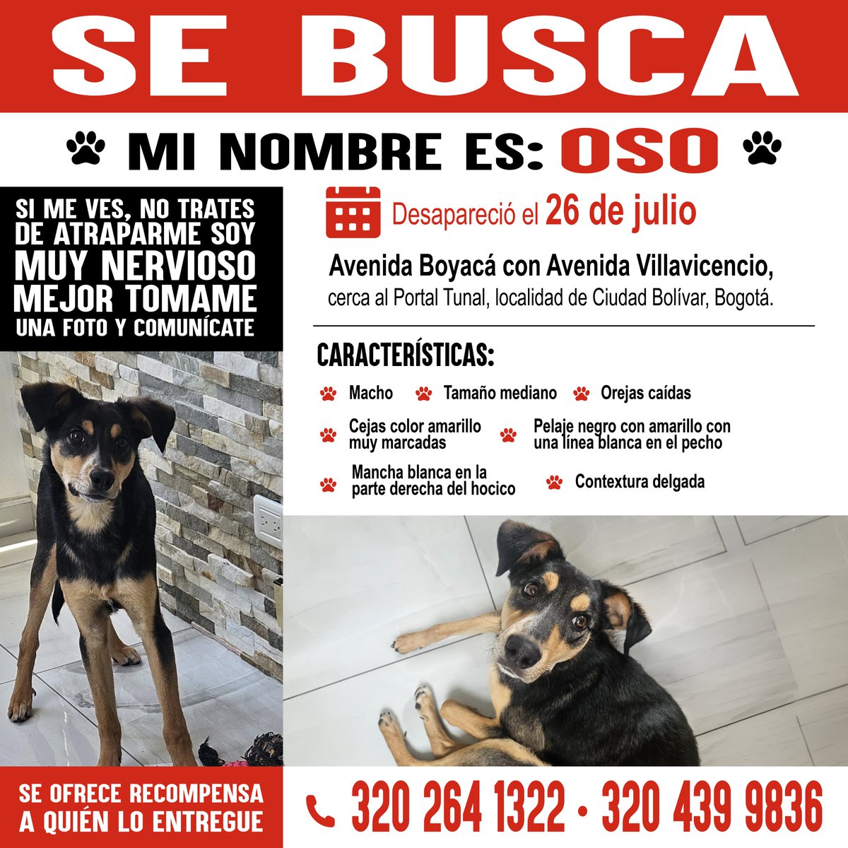 LeidyStephanyB's tweet photo. @dona_pily2 Por favor ayúdanos a encontrarlo 😔🙏 https://t.co/W75IzHFlen