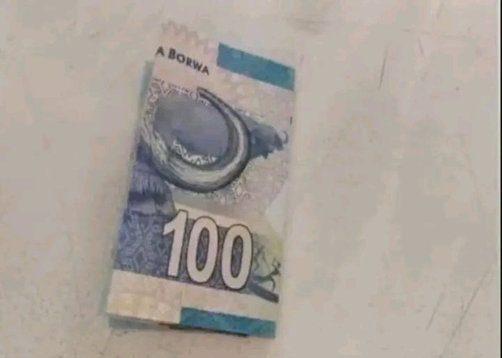 TshepoBacela's tweet photo. Ladies and Gentlemen, meet the new R10😩😩 https://t.co/aipANE3sl4