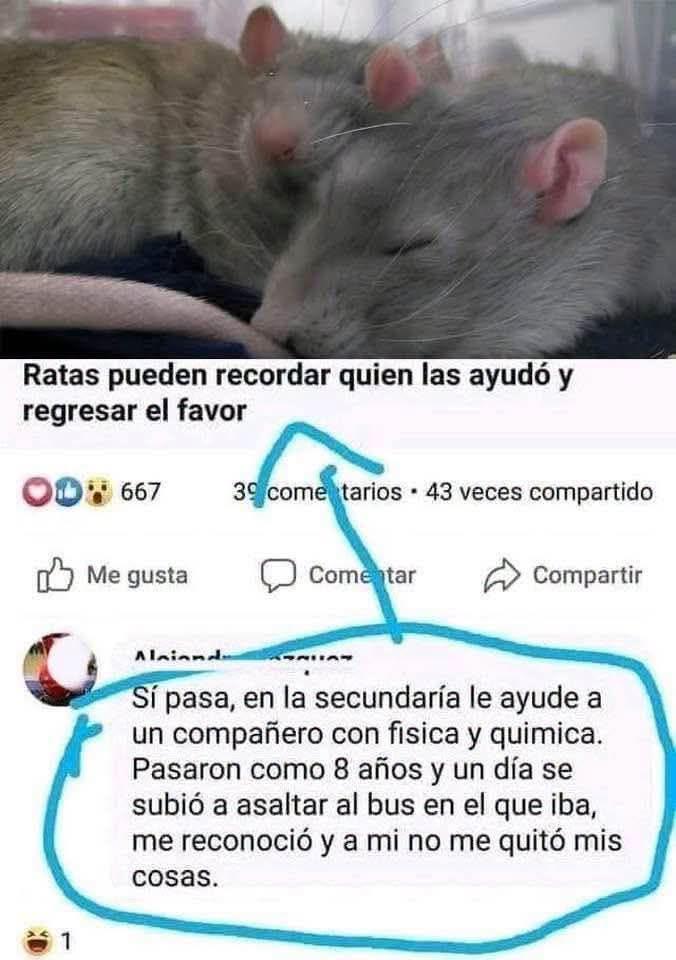 mrdiegope's tweet photo. datos que no sabias https://t.co/3oXASLsTTa