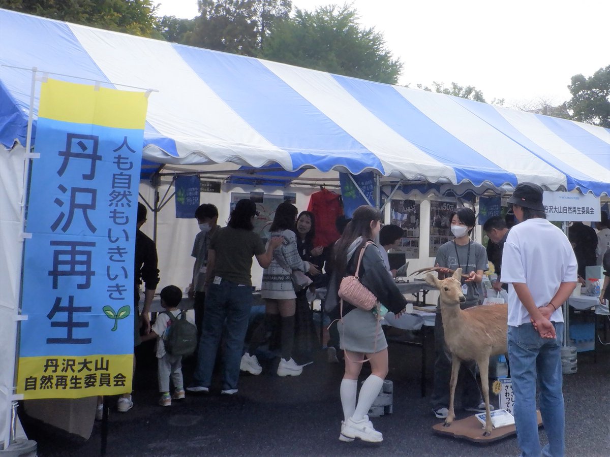 hozenc_kanagawa's tweet photo. 10月10日（土）、11日（日）に山下公園で開催されるワールドフェスタ・ヨコハマ2026にて丹沢大山自然再生委員会のブースを出展します！丹沢大山の動物や自然について学んでみませんか？クマやシカのはく製と一緒に写真も撮れますよ。
https://t.co/n1wB2A99Sk
#ワールドフェスタヨコハマ https://t.co/GtPzTMLAha