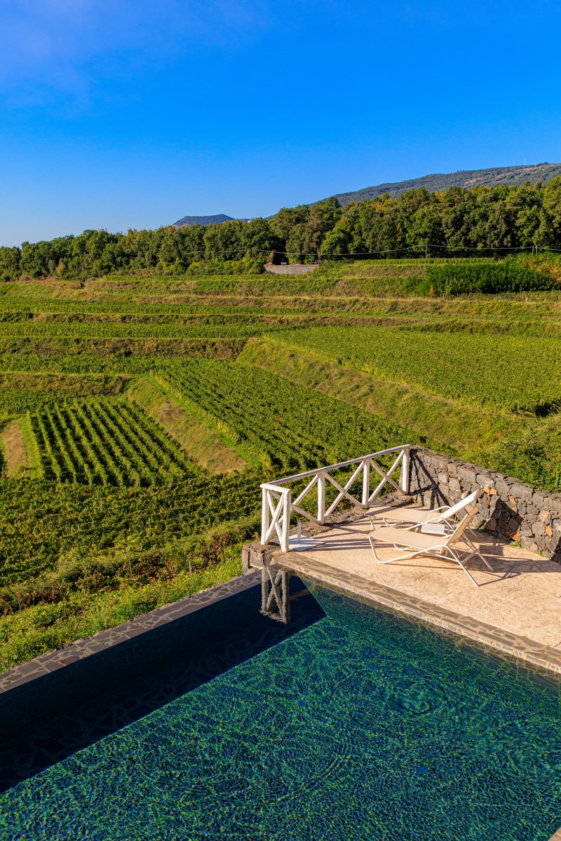 ItalyMagazine's tweet photo. The incredible variety of Sicilian wines means that there is something for everyone. Enjoy this guide to exploring Sicilian wines from north to south: https://t.co/CqiCJ6jtOK https://t.co/QzTpFZti5V