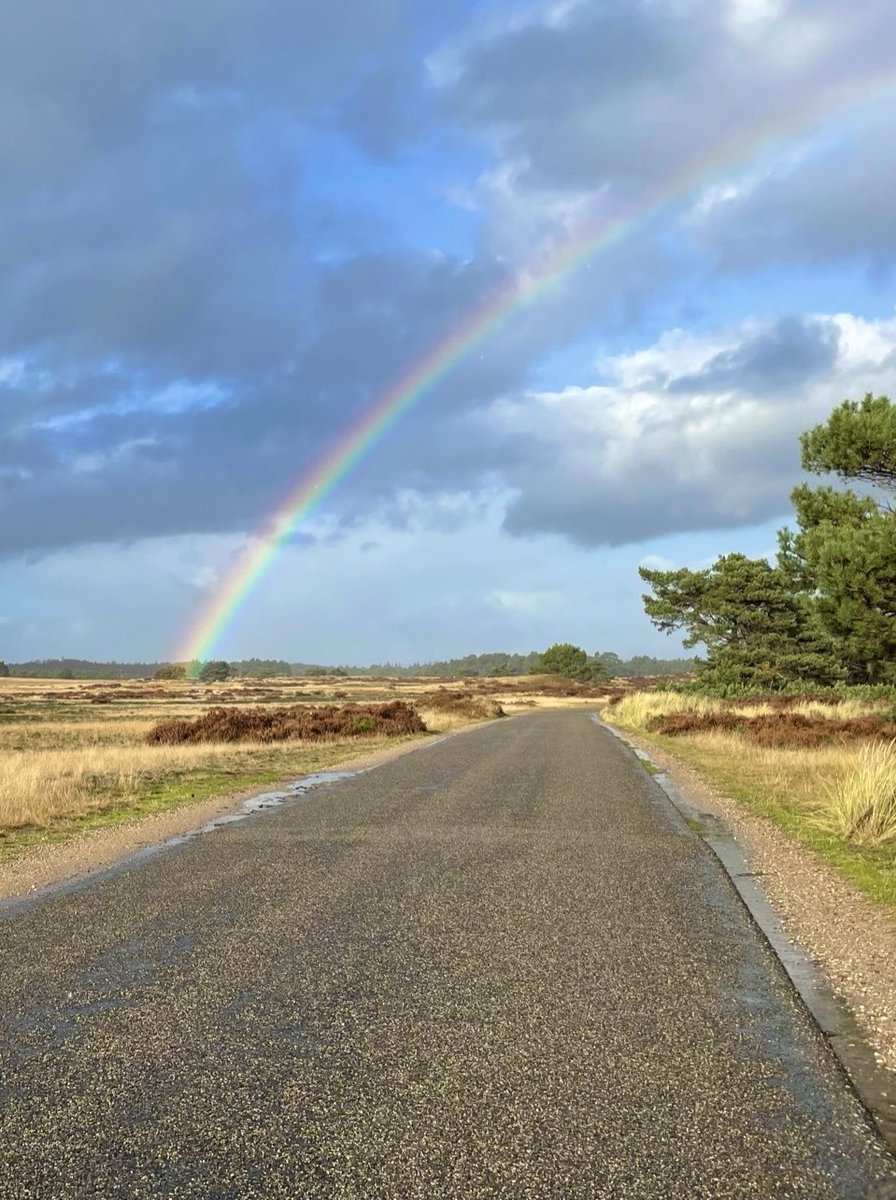 DriesEden's tweet photo. ⛅️20° 🌓10° Fijne Vrijdag #Veluwe #Heide #Regenboog #Nederland #Netherlands #Dutch 🍁 https://t.co/orjJMlMnaA