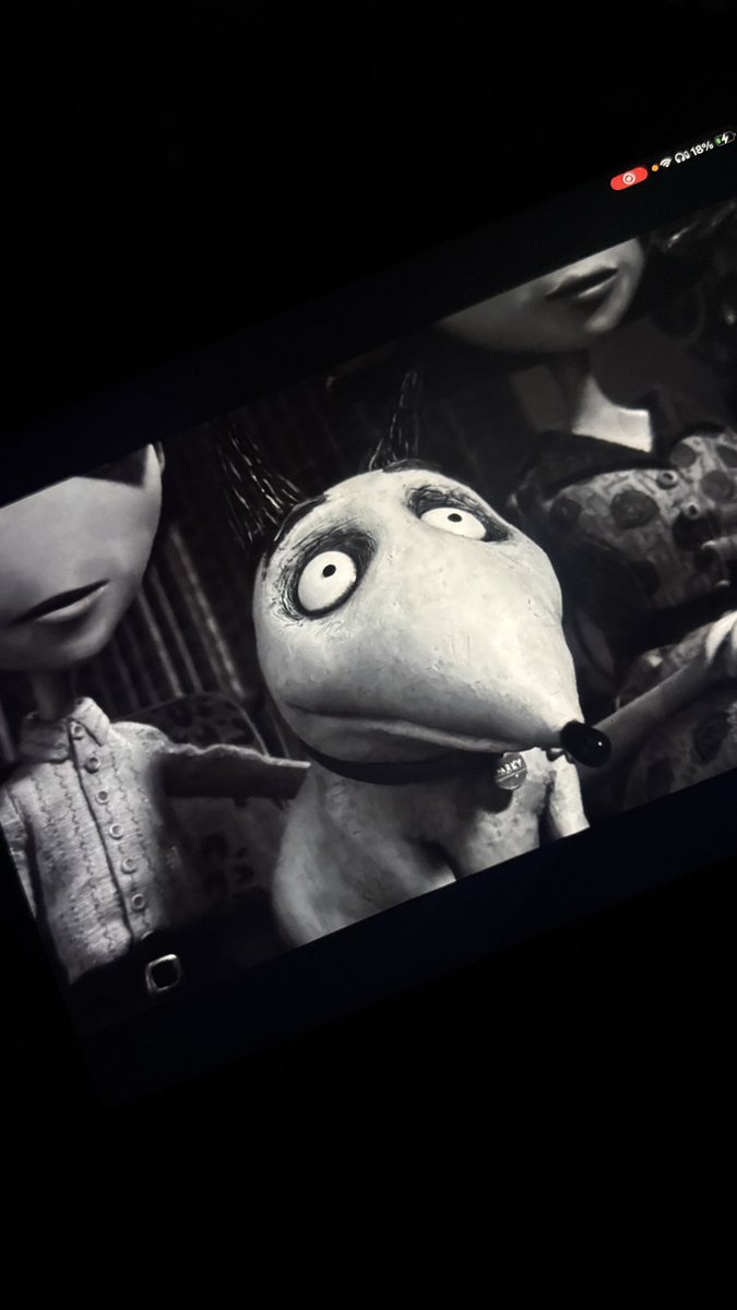 ddaaaaay2's tweet photo. le puse frankenweenie mejor https://t.co/wIeopwbfMm