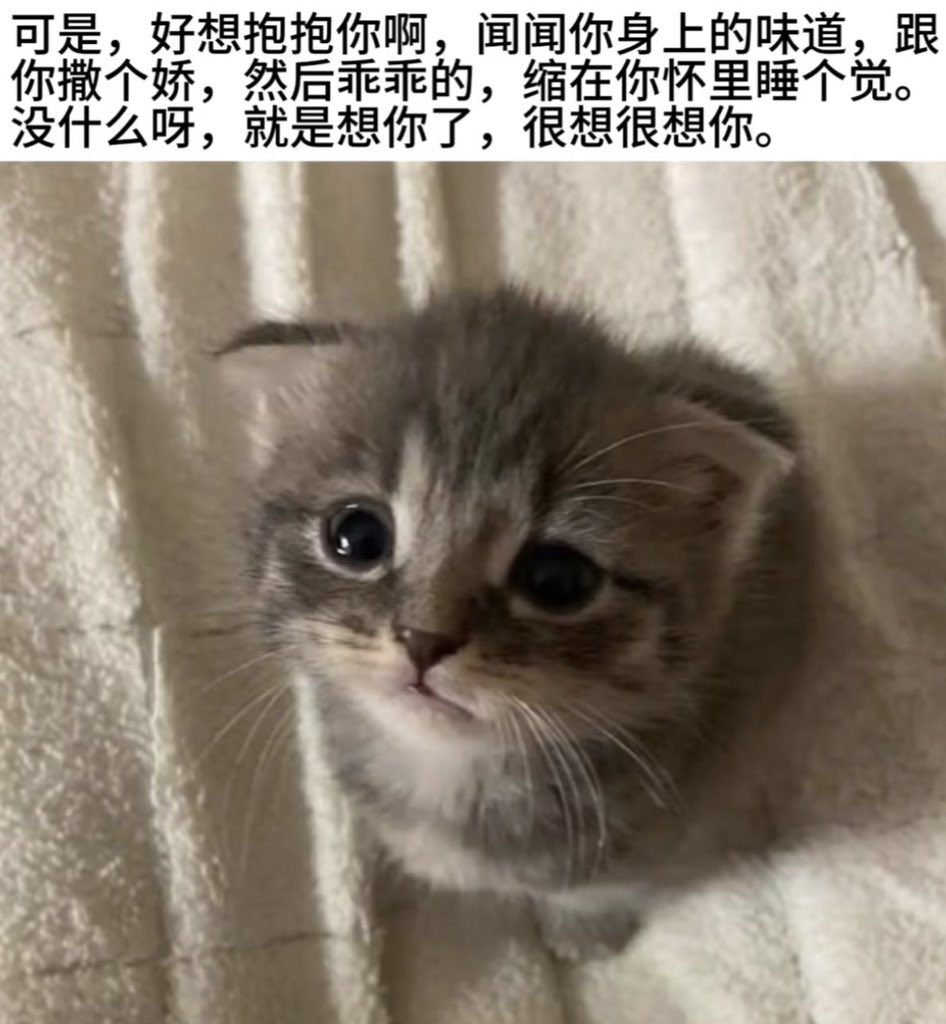 Hesjtjo's tweet photo. https://t.co/aGNLK2SgrC