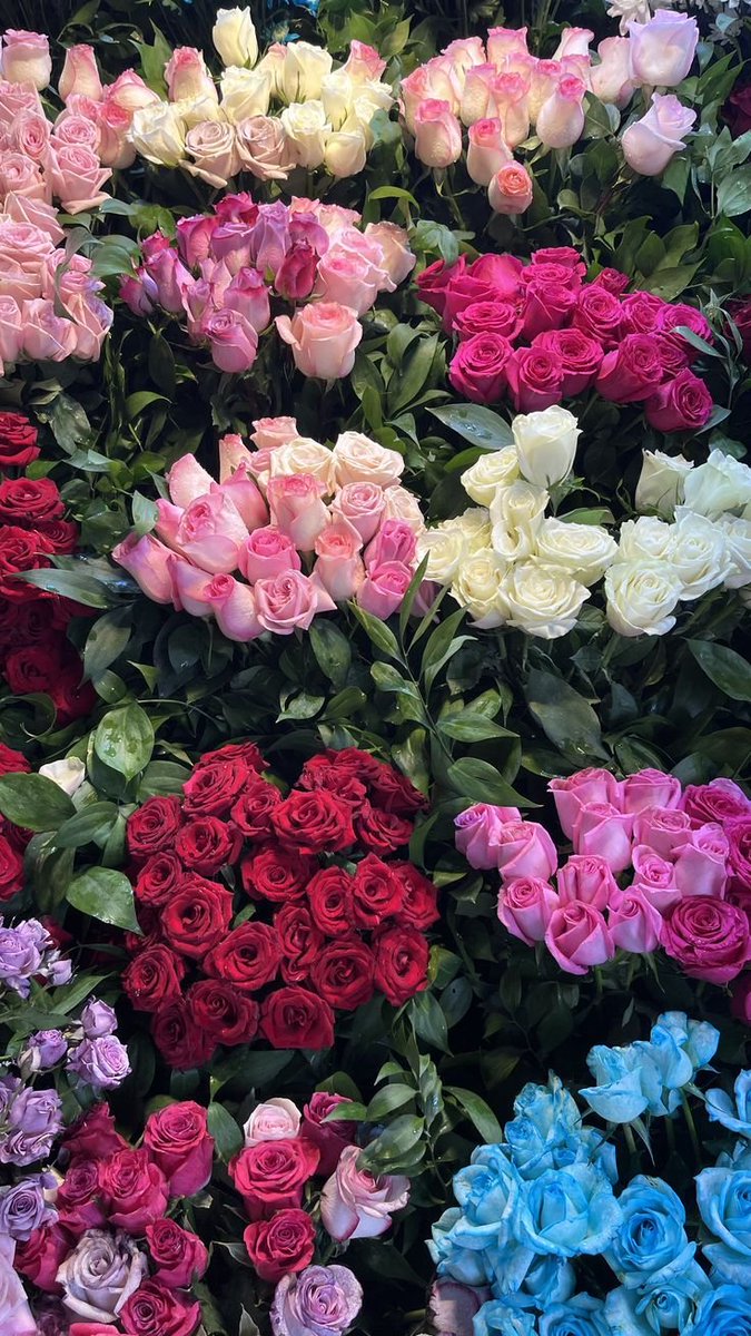 Kosarved's tweet photo. صبح آدینه ��� https://t.co/v1sKxGjFd9
