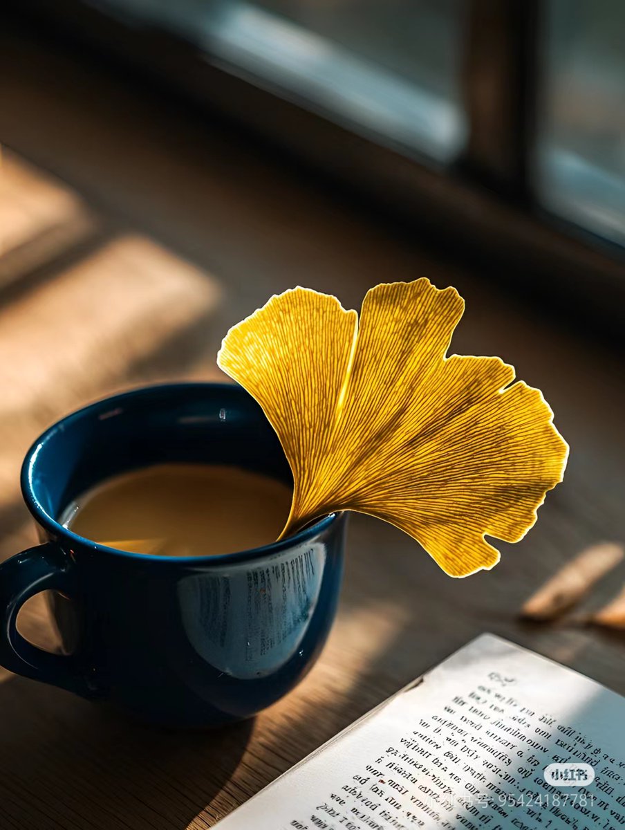MarybelleAlmad's tweet photo. Sunny autumn afternoon, golden leaves drifting, hot cocoa in hand—this is the coziest season vibe ever! https://t.co/O7axvPcxZw