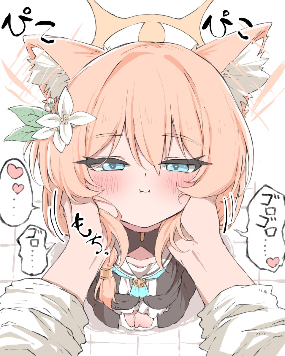 noripontanB's tweet photo. もちもちマリー https://t.co/gnRDB2dJ31
