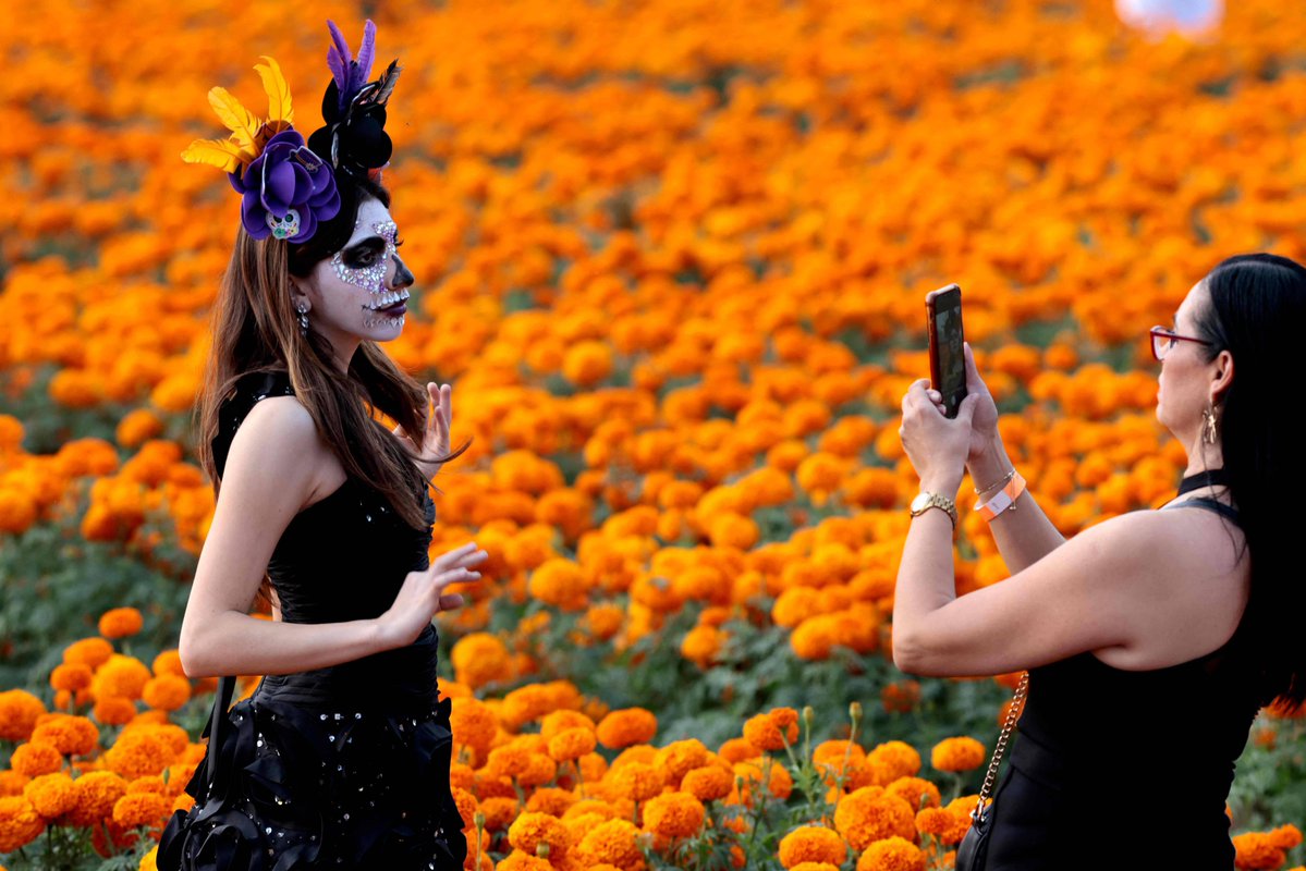 harmonyhenbfy's tweet photo. Feliz Día de los Muertos! Flores de cempasúchil iluminan el camino para que nuestros seres queridos vuelvan.  #DiaDeLosMuertos https://t.co/YamkQYyap9
