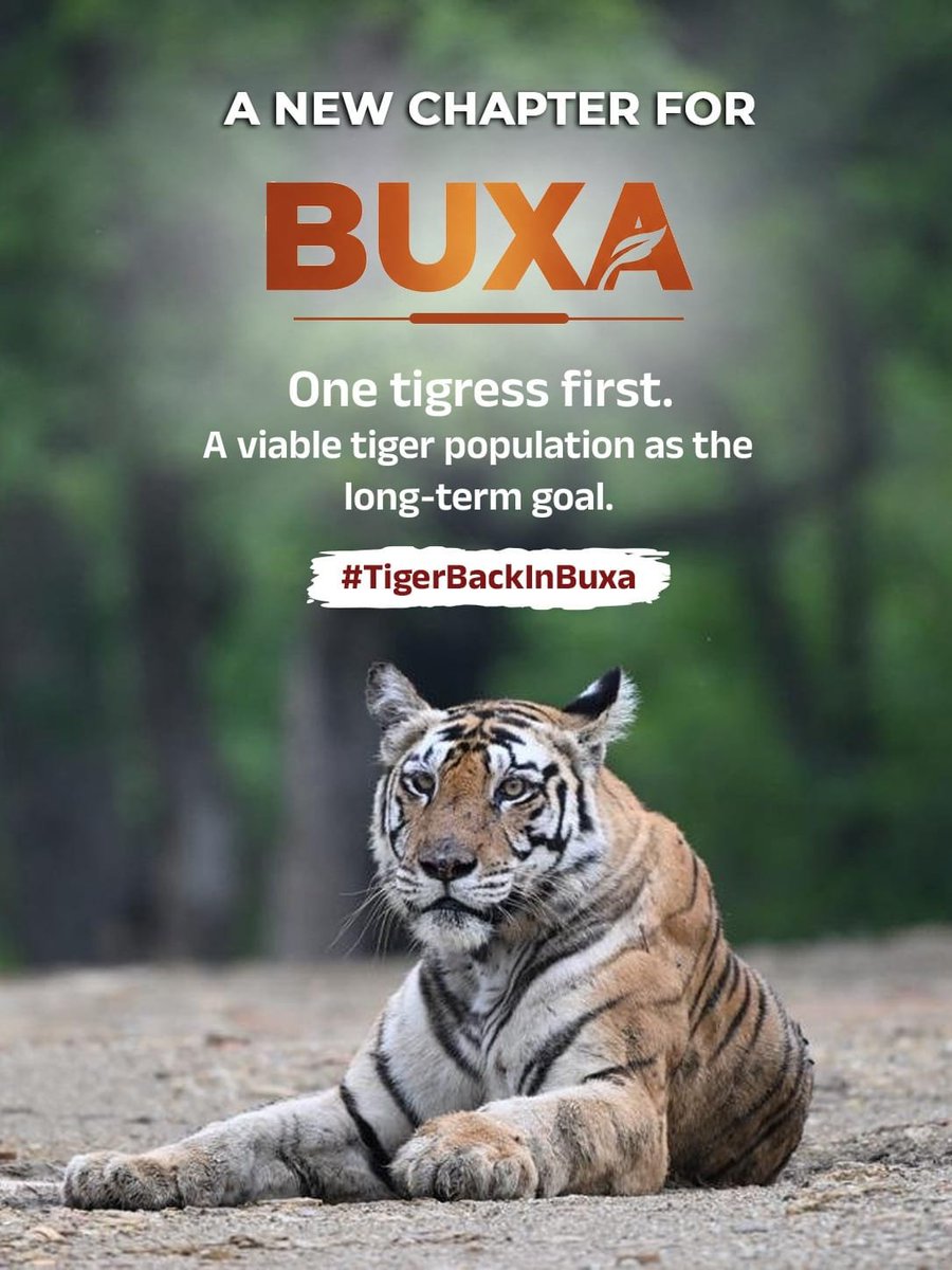 BAssembly14925's tweet photo. #TigerBackInBuxa https://t.co/uJfiJctMNS