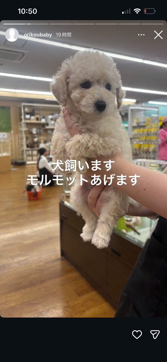 DEATHDOL_NOTE's tweet photo. @tumpeko これのことですか？ https://t.co/9zES8yGa7D