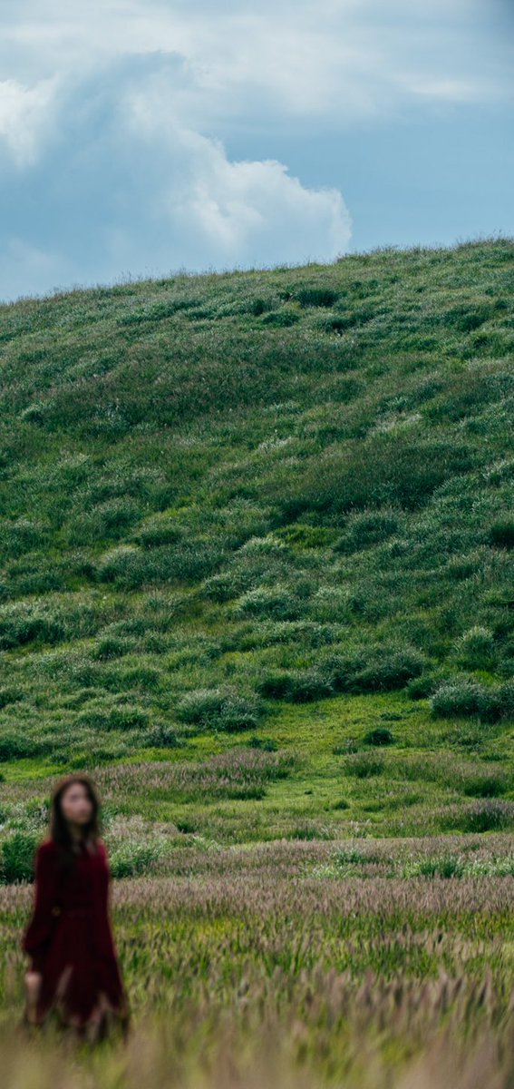 Hi_Guppy_photo's tweet photo. あの丘の向こう
#beyondthehill #summerlandscape #natureportrait
#cinematicportrait https://t.co/9JZs1qSHOh