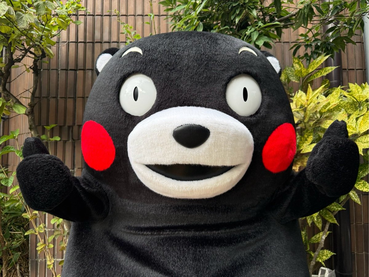 55_kumamon's tweet photo. おはくま〜！今日もはりきっていくモン！ https://t.co/OJyAvC9dni