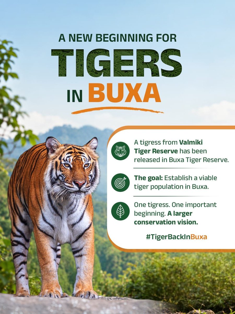 BAssembly14925's tweet photo. #TigerBackInBuxa https://t.co/OI9bJTRmNK