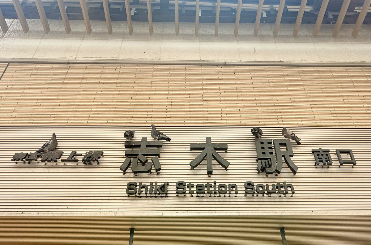 daisuke9ono's tweet photo. 今朝は志木駅南口で朝宣伝。「にいざ民報」を配布。

大屋根の鳩害対策は、新座市がネットを設置。穴が開き鳩が中に入る問題も議会で取り上げ、9月議会後すぐに穴をふさいでくれました。市の対応に感謝です。

一方、東武側も対策を！

#志木駅 #新座市 #朝宣伝 #にいざ民報 #鳩害対策 #被災者支援 https://t.co/R26BRJBNkM