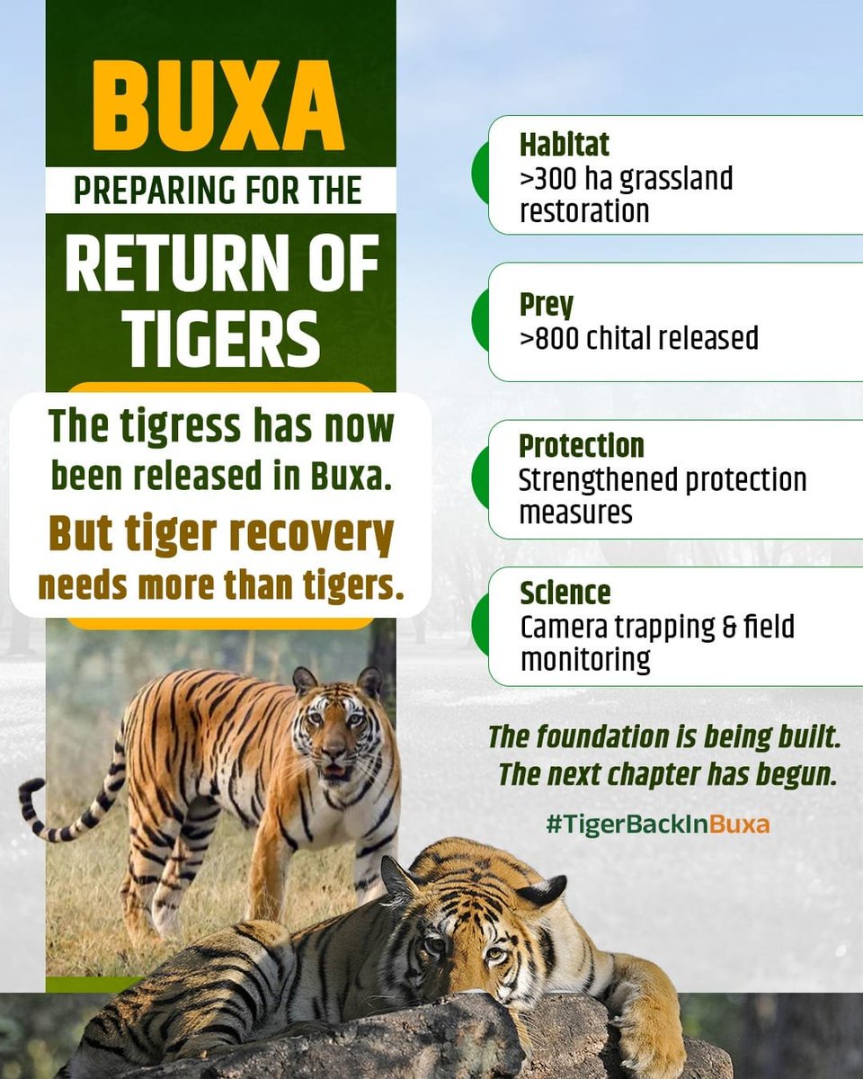 BAssembly14925's tweet photo. #TigerBackInBuxa https://t.co/krlrE8aEH1