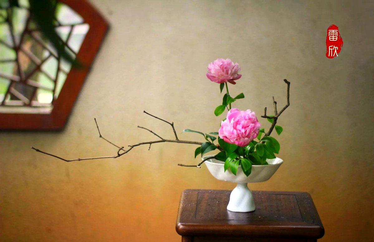 JoeLongieuv's tweet photo. [Charming Chinese herbs: Shangyou peony still shines bright! Nature’s little gifts never fade]， https://t.co/TtU2fznK4Q