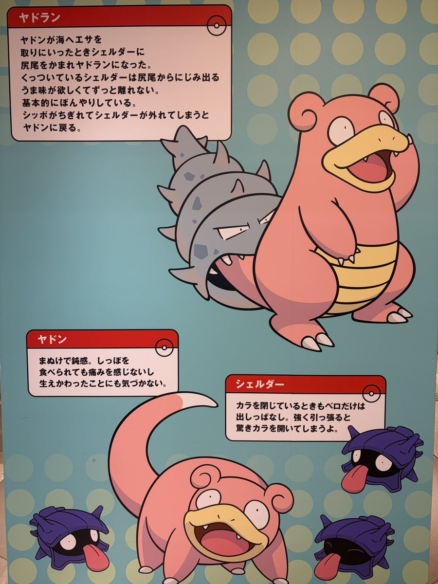pu9173_cs6's tweet photo. https://t.co/h8LBNQ2Q0T