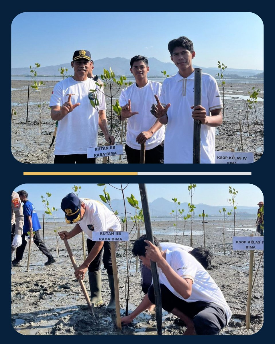 RutanRaba's tweet photo. Rutan Kelas IIB Raba Ikut Serta dalam Penanaman Mangrove di Pantai Lawata

#Kemenimipas #AgusAndrianto #DitjenPAS GunGunGunawan #KetutAkbarHerryAchjar #DitjenPASNTB RBKunwas https://t.co/MWoQNzZYOG