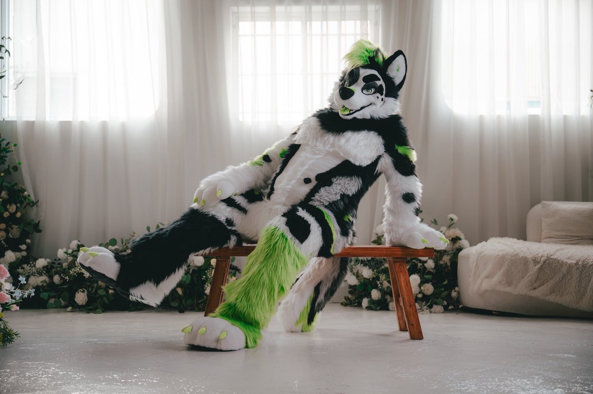 kyohei332's tweet photo. 膝の上まだ空いてるよ〜🤗🤗
Still got some room on my lap 〜🤗🤗

#FursuitFriday 
📸: @loniceradc66 
✂️: @BK_fursuit https://t.co/icOI871ylp