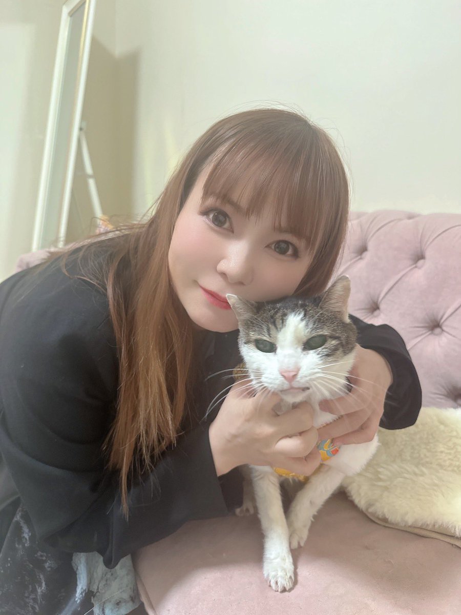 shoko55mmts's tweet photo. 悲しいです
最長老、らいちゃんが19歳、まもなく20歳で虹の橋を渡りました。
朗らかでマイペースでみんなに好かれて明るくて抱っこがきらいで食べるのが大好きで、運が強い！太陽みたいな存在。心臓が止まってからの奇跡のペースメーカーの手術も大成功してそこからの３年は毎日穏やかにらいちゃんらしく幸せに生き抜いた　ありがとうらいちゃん。天国でマミタス様やみんなと集合できるといいね
猫は9つの命を持つという
きっとまた天真爛漫ならいちゃんはかわいいかりあげ模様でイケメンで生まれ変わってくると信じるよ。
猫の19歳はすごく長生きだよ、だけど
まだまだまだまだずーっと生きて欲しかった
さみしいよらいちゃん
双子がいるのわかってお腹にすりすりゴロゴロしてくれたね。いろんなことわかってたよね。猫ってすごい生き物だよ。
ストレスをためない朗らかに好きなことをしてたくさん食べて寝る、らいちゃんの性格こそ長生きに大切なことな気がします。らいちゃんを尊敬してるよ。天国のみんなによろしくね。いつかわたしもそちらに行ったらこれまで出会えた猫たちに会いたい。
悲しくて信じられない。