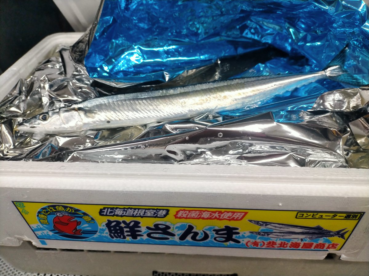 OMOIDEnoRECIPE's tweet photo. 月火が忙しいと
それ以降の記憶が
無くなる。。

水曜日が
超絶暇だったのは
覚えている。

昨日って
営業したっけ？

＃今日こそ気を確かに頑張ります。

開店します。

活きのいい #さんま 入荷してます。

＃生きてはいないんですけど https://t.co/PyNM9xxXfj