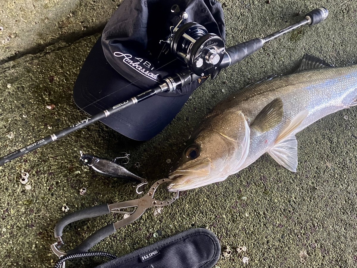 CrossOver12_Abu's tweet photo. ﾎﾞｫﾝ"と一発🎣

音の割にはギリ60くらいのサイズ🐟

#シーバス
#スピッティンワイア https://t.co/MYMsEZ3QHz