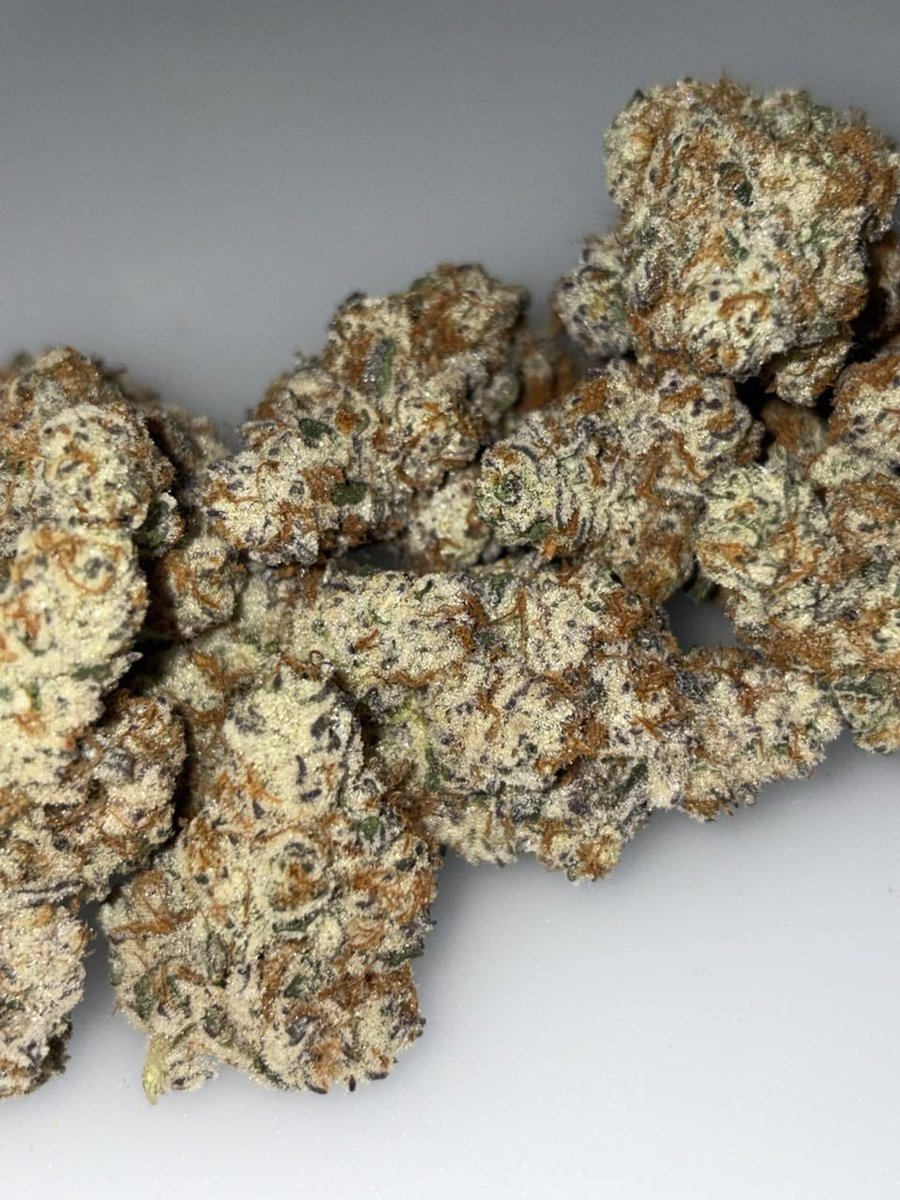 Medicinemakert's tweet photo. Enjoy your premium best quality topshelf strains straight from California  USA 🇺🇸  💯  

worldwide  shipping  all state   #Houston 
• #SanAmtonio
• #Dallas
• #Austin 
• #FortWorth
• #Elpaso
• #Arlington
• #Corpuschtisti
• #Plano
• #Lubbock
#Texas https://t.co/0Pn7J0GdlQ