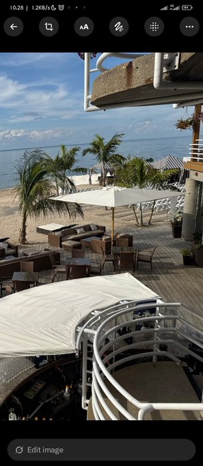 A mobile screenshot showing a beachside restaurant terrace with white umbrellas, palm trees, and the ocean visible in the background under a partly cloudy sky.