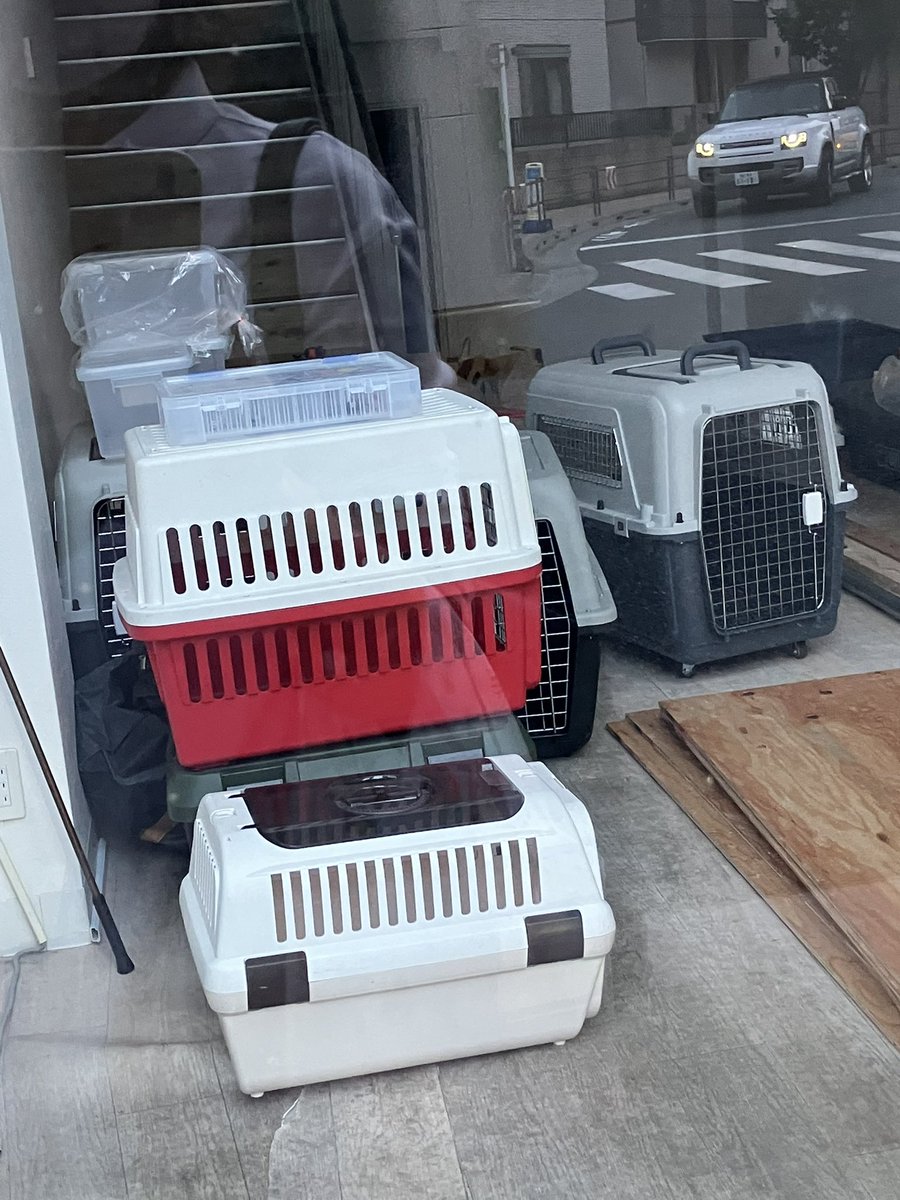 neco3nemui's tweet photo. 駅の近くの長く(多分5〜60年)やってたメガネ屋さんが閉店して寂しいなと思って居たら
店内改装してて、ちょっと期待してる。 https://t.co/1aLmFqoEFs